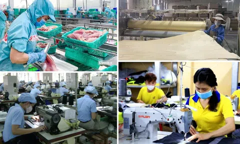 Thành lập Ban Chỉ đạo quốc gia triển khai Nghị quyết số 68-NQ/TW về phát triển kinh tế tư nhân