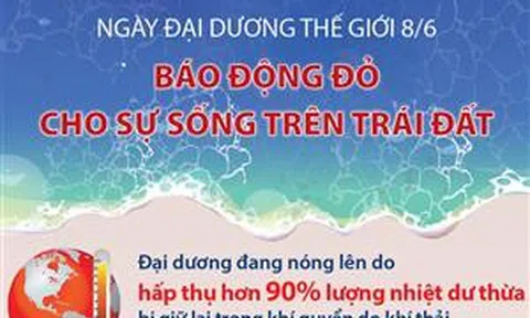 Ngày Đại dương thế giới 8/6: Báo động đỏ cho sự sống trên Trái Đất