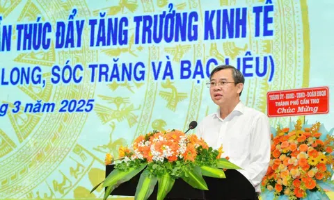 Cần Thơ ban hành tiêu chuẩn chức danh công chức cấp xã mới