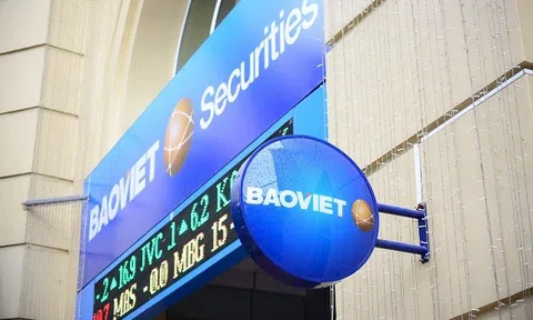 Dự báo VN-Index kết năm ở mốc 1.450 điểm, BVS lên kế hoạch doanh thu hơn nghìn tỷ