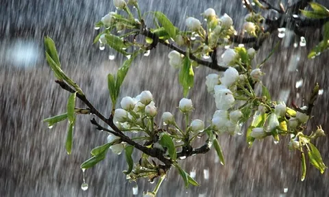 Cảnh báo mưa lớn cục bộ nhiều nơi trên cả nước