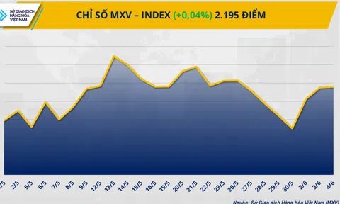 Thị trường hàng hóa thế giới diễn biến giằng co, MXV-Index đi ngang