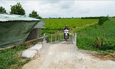Vụ lối đi chung bỗng dưng 'biến mất' ở Đồng Tháp: Bắc cầu cho người dân lưu thông