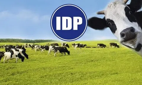 Sữa Quốc tế Lof (IDP) muốn vay ngân hàng hơn 1.200 tỷ đồng để đầu tư nhà máy và bổ sung vốn lưu động