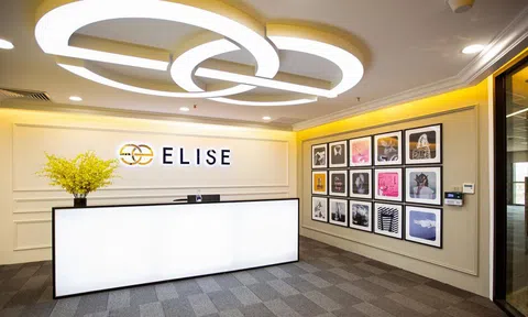Công ty Thời trang Elise chậm đóng hơn 4,2 tỷ đồng tiền bảo hiểm