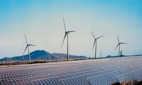 Bình Định sắp có nhà máy điện gió 5.700 tỷ đồng, công suất 143MW
