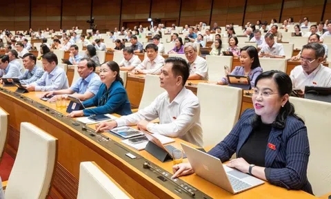 Quyết sách lịch sử, tất yếu và đúng đắn