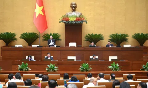 Xây dựng cơ chế đặc thù, đột phá, đủ mạnh để phát triển Thành phố Hải Phòng