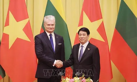 Chủ tịch nước Lương Cường hội đàm với Tổng thống Lithuania Gitanas Nauseda