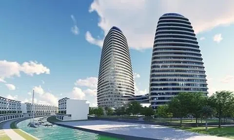 Tập đoàn Đầu tư I.P.A (IPA): Một thành viên Hội đồng quản trị từ nhiệm