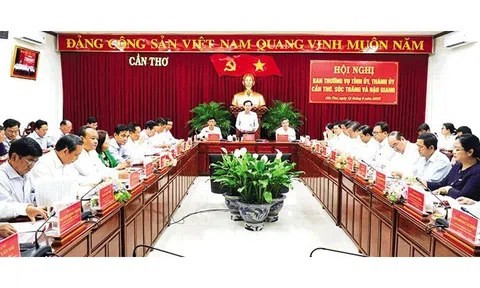 Thống nhất phương án nhân sự TP. Cần Thơ sau hợp nhất