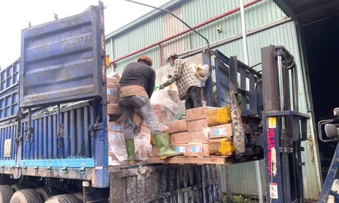 Đồng Nai tiêu hủy hơn 30 tấn thực phẩm đông lạnh bẩn, nhiễm khuẩn nguy hiểm