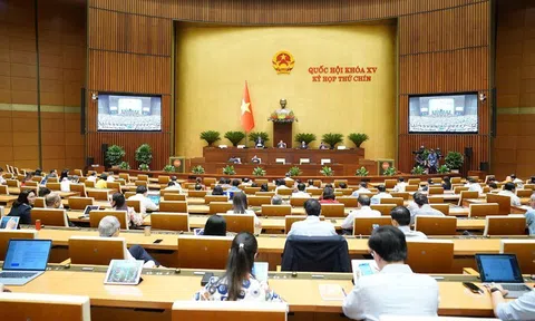 Luật mới mở rộng quyền tự chủ cho doanh nghiệp nhà nước