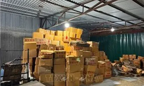Thu giữ 4.300 kg táo đỏ không rõ nguồn gốc