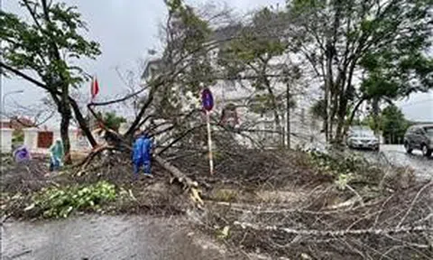 Bão số 1: Tập trung hỗ trợ khắc phục hậu quả thiên tai, sớm ổn định cuộc sống người dân