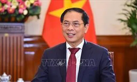 Phó Thủ tướng, Bộ trưởng Bùi Thanh Sơn trả lời phỏng vấn về chuyến công tác của Thủ tướng Chính phủ đến Estonia, Pháp và Thụy Điển