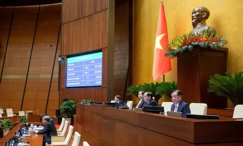 Thông qua Luật Công nghiệp Công nghệ số: Tăng tốc 'Make in Vietnam', vươn ra toàn cầu