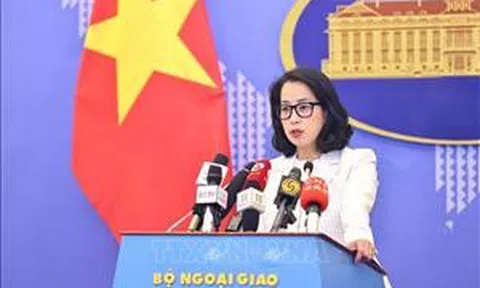 Việt Nam mong muốn nỗ lực đóng góp, nâng cao tiếng nói và vai trò của các nước đang phát triển