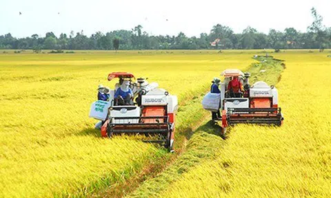 Ngành nông nghiệp và môi trường: Phân cấp, phân quyền để phát huy tối đa tiềm năng
