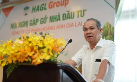 Chủ tịch Hoàng Anh Gia Lai (HAG) Đoàn Nguyên Đức đăng ký mua 10 triệu cổ phiếu sau khi công bố chiến lược kinh doanh mới
