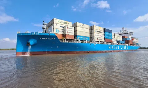 Chủ tịch và CEO Viconship (VSC) được đề cử vào HĐQT Vận tải Hải An (HAH)