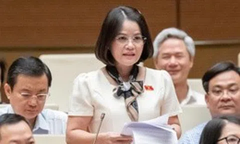 Hàng giả lan rộng, có cán bộ tiếp tay: Đại biểu nói cần cả "chống" lẫn "xây"