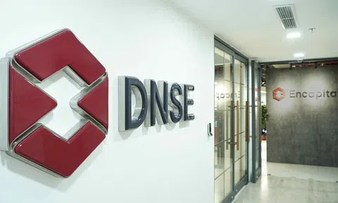 Chứng khoán DNSE (DSE) hoàn tất phát hành gần 10 triệu cổ phiếu ESOP đợt 1/2025
