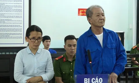 Lừa đưa người đi Mỹ để chiếm đoạt tiền tỷ, cặp vợ chồng trả giá đắt