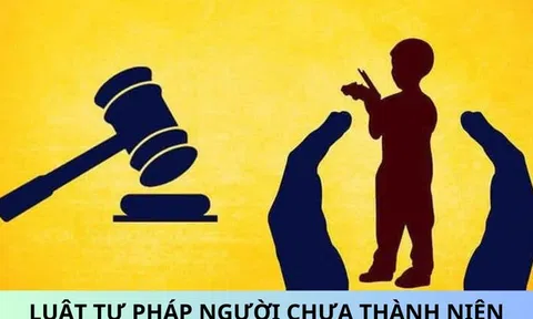 Triển khai thi hành Luật Tư pháp người chưa thành niên