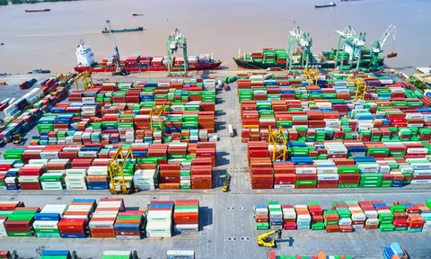 Viconship (VSC) hoàn tất phát hành gần 75 triệu cổ phiếu trả cổ tức và cổ phiếu thưởng