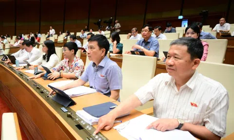 Quy định mới siết chặt chất lượng hàng hoá: Cấm thông tin gian dối, sai sự thật