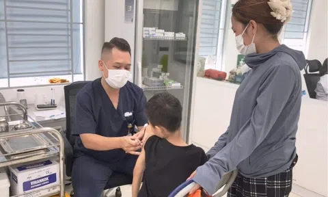 Tăng số ca trẻ bị chó cắn dịp hè