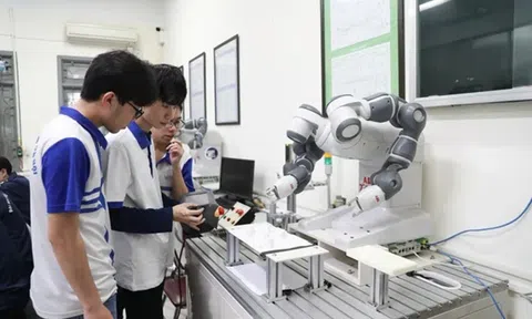 Việt Nam có 16 cơ sở đại học lọt BXH trường có tầm ảnh hưởng thế giới