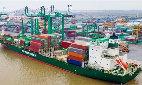 Viconship (VSC) dự kiến bán hơn 6,3 triệu cổ phiếu Cảng Xanh Vip (VGR)