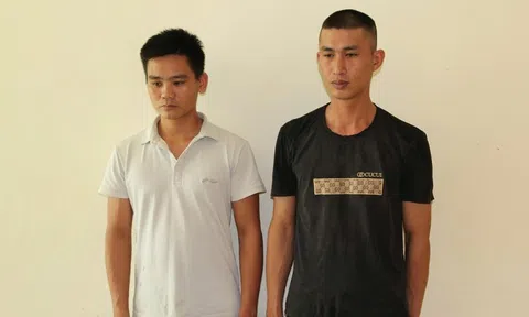 Khởi tố 2 đối tượng thuê xe ô tô tự lái rồi làm giả giấy tờ, lừa đảo hơn 5 tỷ đồng