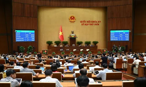 Quốc hội biểu quyết thông qua Luật Nhà giáo