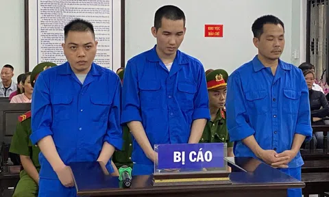 Thuê xe ô tô rồi đem đi cầm cố, 3 bị cáo lĩnh án