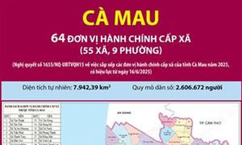 64 đơn vị hành chính cấp xã của tỉnh Cà Mau năm 2025