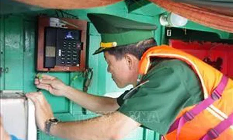 Bà Rịa - Vũng Tàu: Cao điểm thực hiện chống khai thác IUU