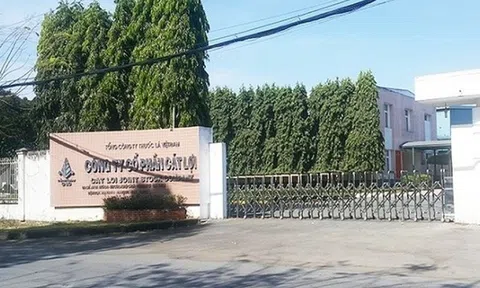 Cát Lợi (CLC) sắp trả cổ tức đợt 2/2024 bằng tiền mặt, tỷ lệ 25%