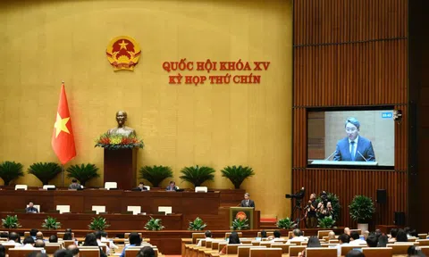 Kịp thời tháo gỡ khó khăn, vướng mắc do quy định của pháp luật