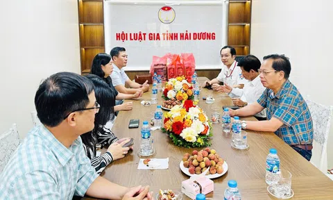 Thống nhất dự thảo Đề án sắp xếp, hợp nhất Hội Luật gia Tp.Hải Phòng và tỉnh Hải Dương