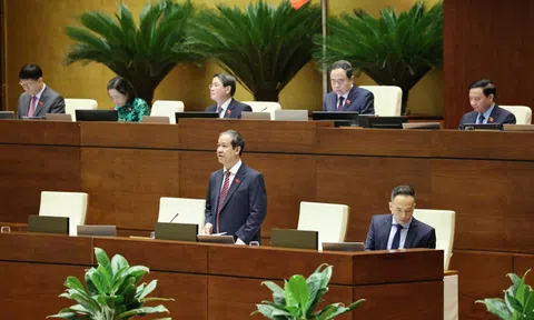 Phòng, chống bạo lực học đường: Cần sự phối hợp giữa nhà trường, gia đình và xã hội
