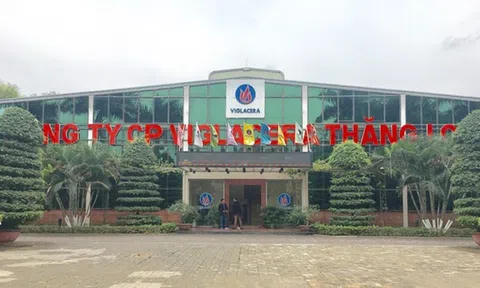 Công ty con của Tổng công ty Viglacera (VGC) dự chi hơn 10 tỷ đồng trả cổ tức