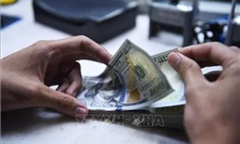 Tỷ giá hôm nay 28/5: Giá USD chững lại trong khi NDT tiếp tục giảm