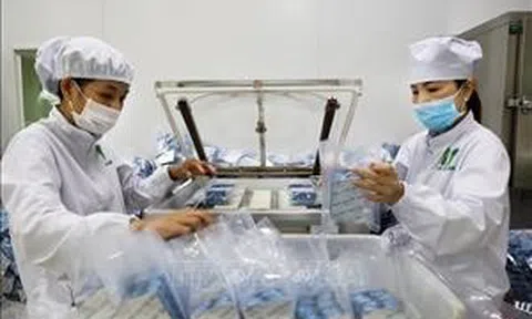 Bộ Công Thương hành động phát triển công nghiệp hóa dược