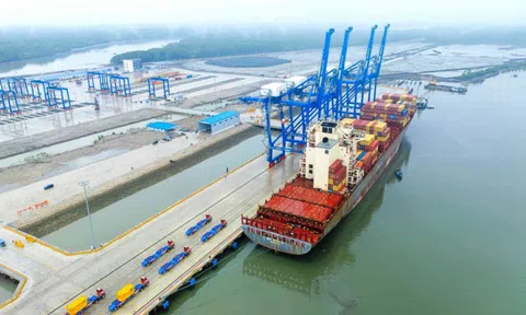 Cảng Phước An (PAP) trình kế hoạch lỗ gần 560 tỷ đồng để đầu tư, cổ đông lớn đề cử nhân sự mới