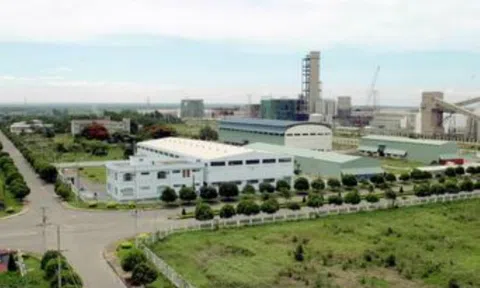 Long Sơn PIC (PXL) bổ nhiệm Chủ tịch HĐQT mới, đặt mục tiêu lợi nhuận 2025 tăng trưởng 113%