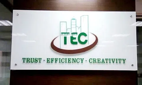 Bất động sản Trường Thành (TEG) bị xử phạt 240 triệu đồng do vi phạm công bố thông tin