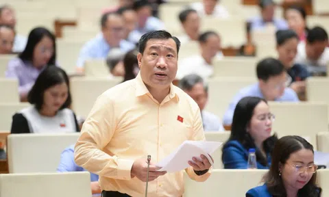 Cần chế tài nếu cơ quan chậm gỡ vướng pháp luật, tránh "trên nóng, dưới lạnh"